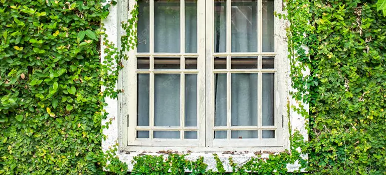 Garden Window Repair Near Me in Deerfield Beach, FL